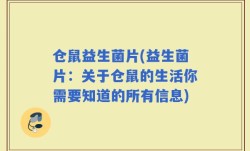 仓鼠益生菌片(益生菌片：关于仓鼠的生活你需要知道的所有信息)