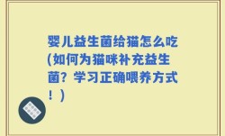 婴儿益生菌给猫怎么吃(如何为猫咪补充益生菌？学习正确喂养方式！)