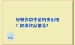 好想你益生菌奶皮山楂？健康饮品推荐？