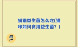 猫猫益生菌怎么吃(猫咪如何食用益生菌？)