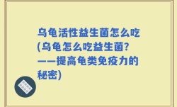 乌龟活性益生菌怎么吃(乌龟怎么吃益生菌？——提高龟类免疫力的秘密)