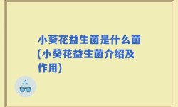 小葵花益生菌是什么菌(小葵花益生菌介绍及作用)