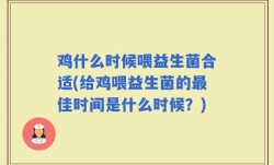 鸡什么时候喂益生菌合适(给鸡喂益生菌的最佳时间是什么时候？)
