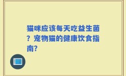 猫咪应该每天吃益生菌？宠物猫的健康饮食指南？