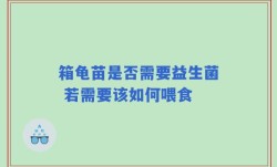 箱龟苗是否需要益生菌 若需要该如何喂食