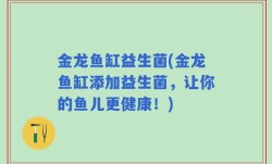 金龙鱼缸益生菌(金龙鱼缸添加益生菌，让你的鱼儿更健康！)