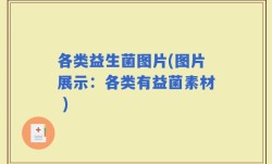 各类益生菌图片(图片展示：各类有益菌素材 )