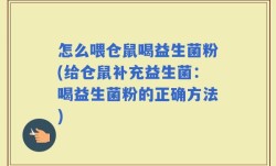怎么喂仓鼠喝益生菌粉(给仓鼠补充益生菌：喝益生菌粉的正确方法)