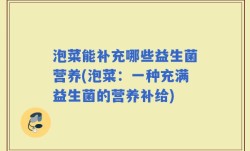 泡菜能补充哪些益生菌营养(泡菜：一种充满益生菌的营养补给)