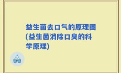 益生菌去口气的原理图(益生菌消除口臭的科学原理)