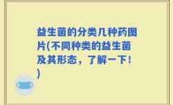 益生菌的分类几种药图片(不同种类的益生菌及其形态，了解一下！)
