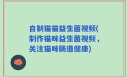 自制猫猫益生菌视频(制作猫咪益生菌视频，关注猫咪肠道健康)