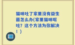 猫咪吐了家里没有益生菌怎么办(家里猫咪呕吐？这个方法为你解决！)