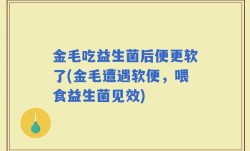 金毛吃益生菌后便更软了(金毛遭遇软便，喂食益生菌见效)