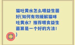 猫吐黄水怎么喂益生菌好(如何有效缓解猫咪吐黄水？推荐喂食益生菌算是一个好的方法！)