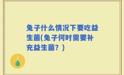 兔子什么情况下要吃益生菌(兔子何时需要补充益生菌？)