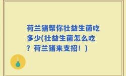 荷兰猪帮你壮益生菌吃多少(壮益生菌怎么吃？荷兰猪来支招！)
