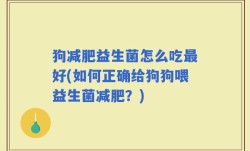 狗减肥益生菌怎么吃最好(如何正确给狗狗喂益生菌减肥？)