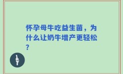 怀孕母牛吃益生菌，为什么让奶牛增产更轻松？