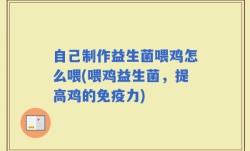 自己制作益生菌喂鸡怎么喂(喂鸡益生菌，提高鸡的免疫力)