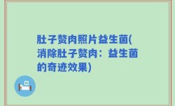 肚子赘肉照片益生菌(消除肚子赘肉：益生菌的奇迹效果)