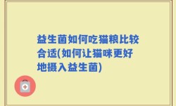 益生菌如何吃猫粮比较合适(如何让猫咪更好地摄入益生菌)