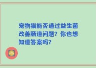 宠物猫能否通过益生菌改善肠道问题？你也想知道答案吗？