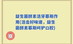 益生菌酵素洁牙慕斯作用(洁齿好味道，益生菌酵素慕斯呵护口腔)