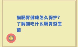 猫肠胃健康怎么保护？了解猫吃什么肠胃益生菌