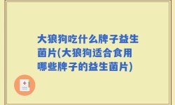 大狼狗吃什么牌子益生菌片(大狼狗适合食用哪些牌子的益生菌片)
