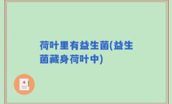 荷叶里有益生菌(益生菌藏身荷叶中)