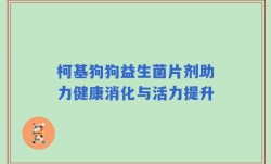 柯基狗狗益生菌片剂助力健康消化与活力提升