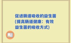 促进肠道吸收的益生菌(提高肠道健康：有效益生菌的吸收方式)