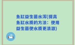 鱼缸益生菌水浑(提高鱼缸水质的方法：使用益生菌使水质更清澈)