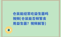 仓鼠能经常吃益生菌吗视频(仓鼠能否频繁食用益生菌？视频解答)