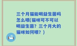 三个月猫能喝益生菌吗怎么喂(猫咪可不可以喝益生菌？三个月大的猫咪如何喂？)