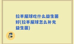 拉羊屎球吃什么益生菌好(拉羊屎球怎么补充益生菌)