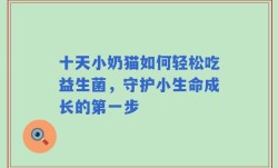 十天小奶猫如何轻松吃益生菌，守护小生命成长的第一步