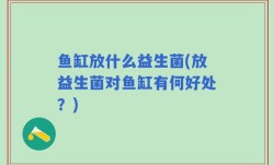 鱼缸放什么益生菌(放益生菌对鱼缸有何好处？)
