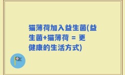 猫薄荷加入益生菌(益生菌+猫薄荷 = 更健康的生活方式)
