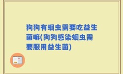 狗狗有蛔虫需要吃益生菌嘛(狗狗感染蛔虫需要服用益生菌)