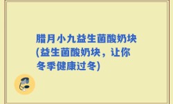 腊月小九益生菌酸奶块(益生菌酸奶块，让你冬季健康过冬)