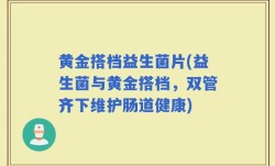 黄金搭档益生菌片(益生菌与黄金搭档，双管齐下维护肠道健康)