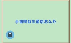 小猫喝益生菌后怎么办