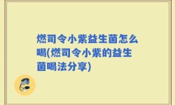 燃司令小紫益生菌怎么喝(燃司令小紫的益生菌喝法分享)