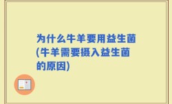 为什么牛羊要用益生菌(牛羊需要摄入益生菌的原因)