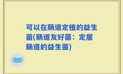 可以在肠道定植的益生菌(肠道友好菌：定居肠道的益生菌)