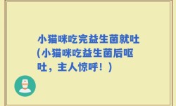 小猫咪吃完益生菌就吐(小猫咪吃益生菌后呕吐，主人惊呼！)