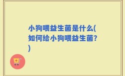 小狗喂益生菌是什么(如何给小狗喂益生菌？)