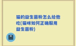 猫的益生菌粉怎么给他吃(猫咪如何正确服用益生菌粉)